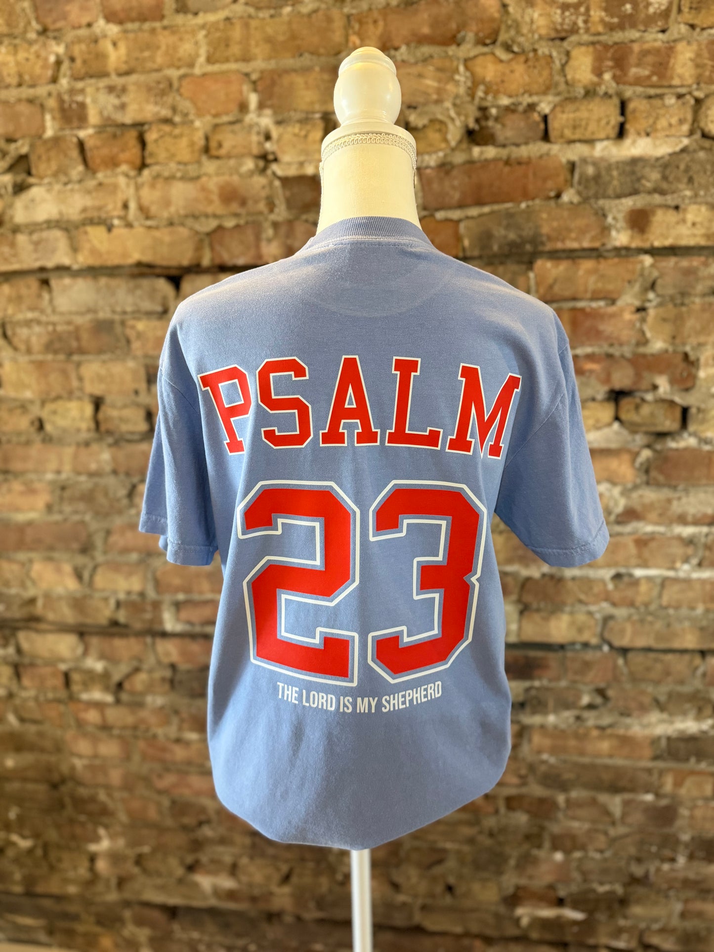 Palms 23