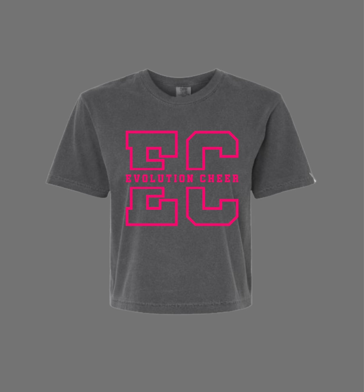 EC Grey and Pink Comfort Color Crop